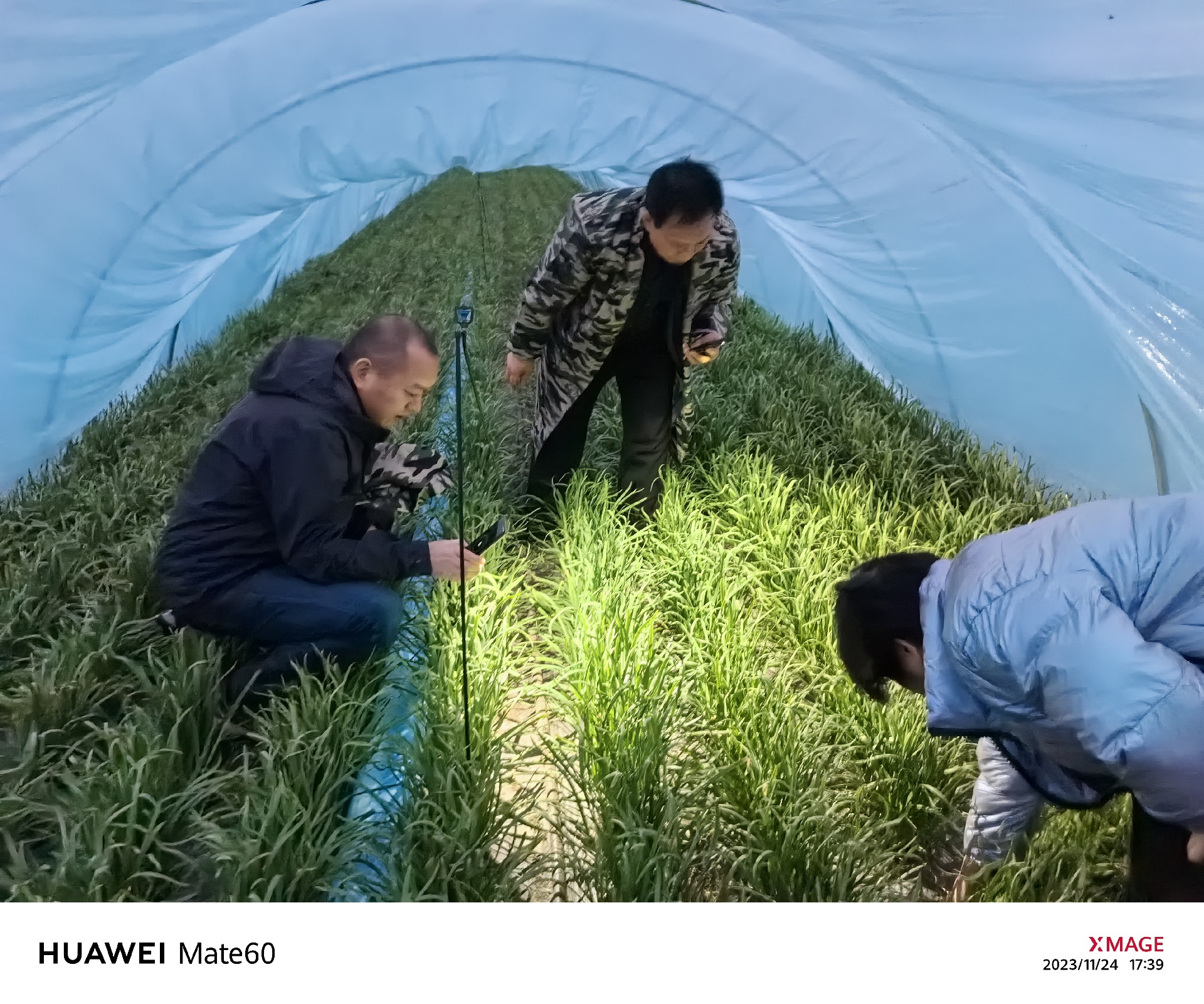 陈中府副研究员、姜国霞副研究员到基地指导工作