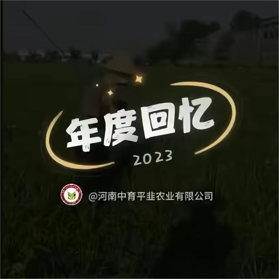 年度回忆-2023
