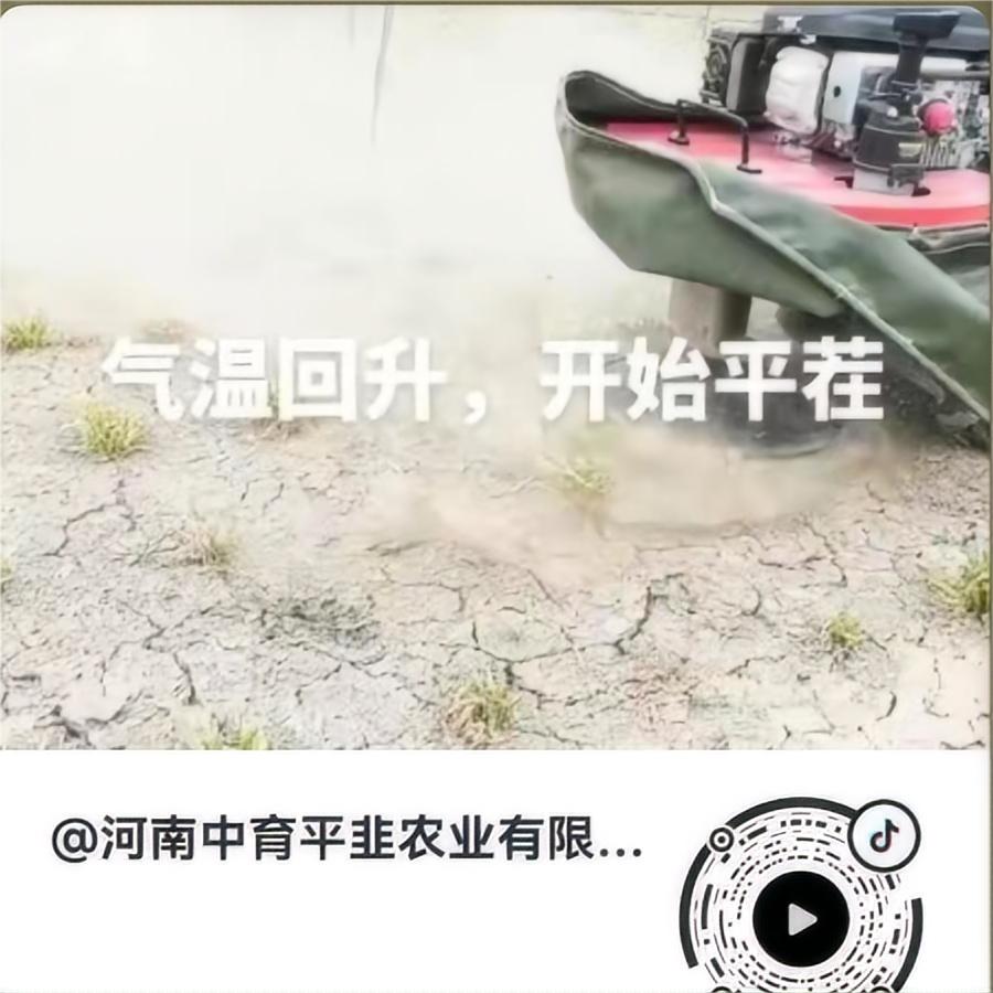 气温回升，开始平茬