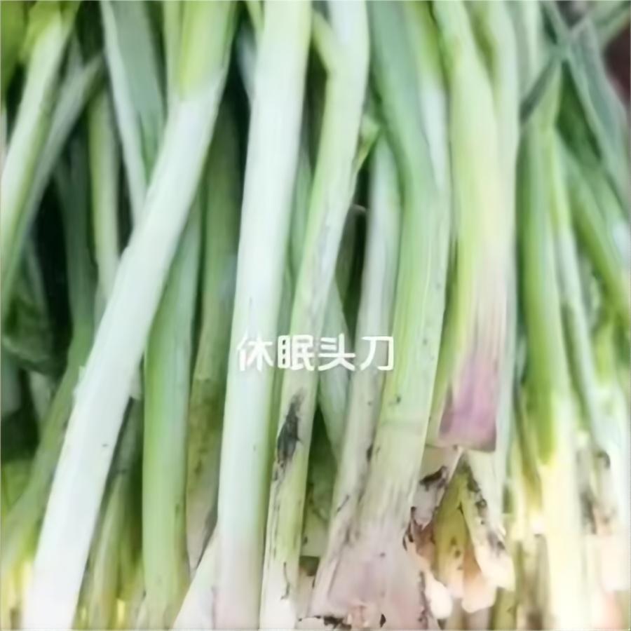 休眠头刀