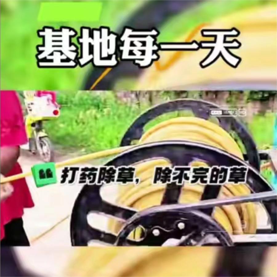 打药除草，除不完的草