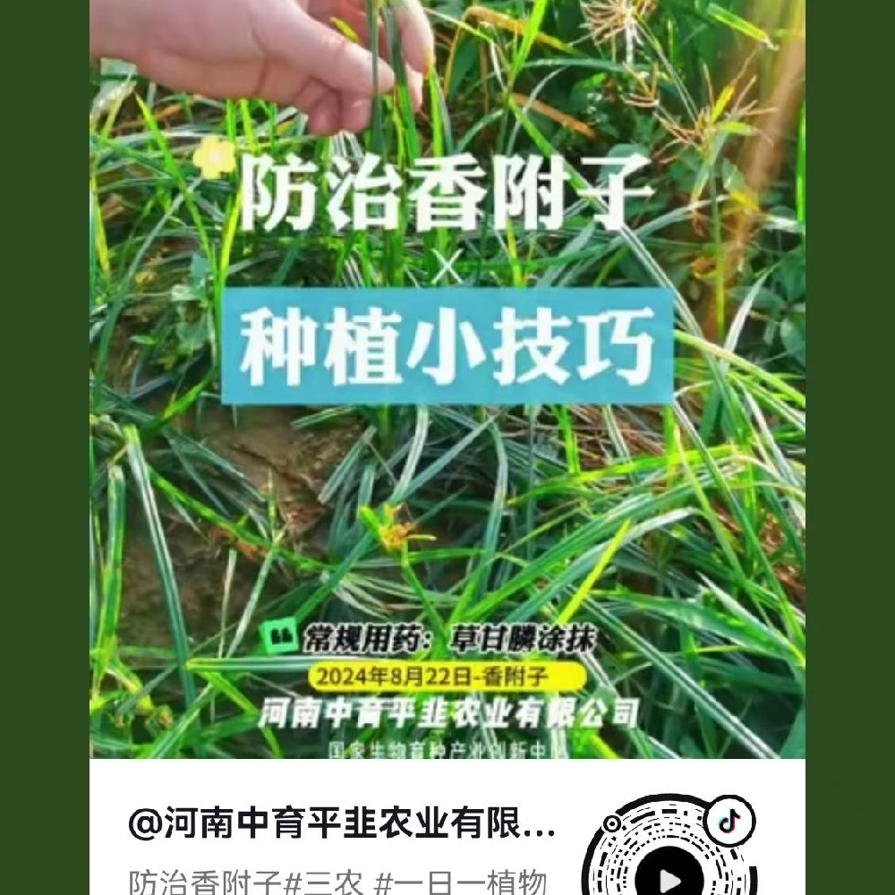 防治香附子