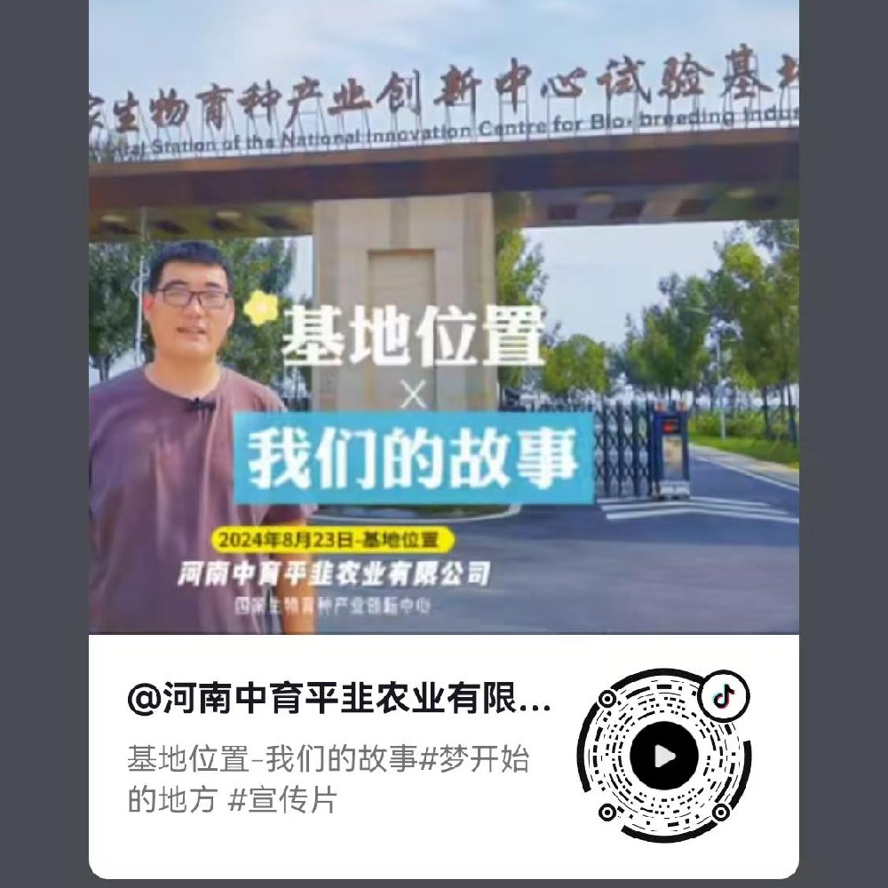 基地位置