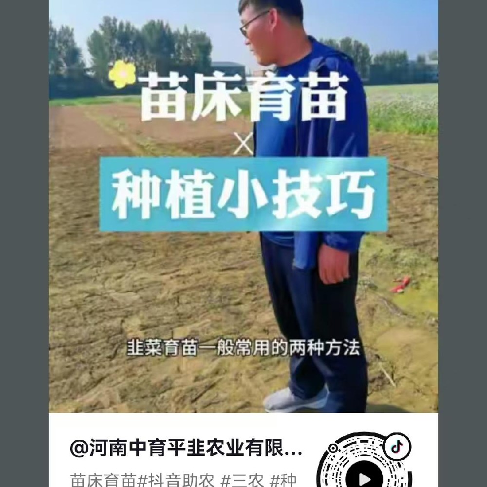 苗床育苗