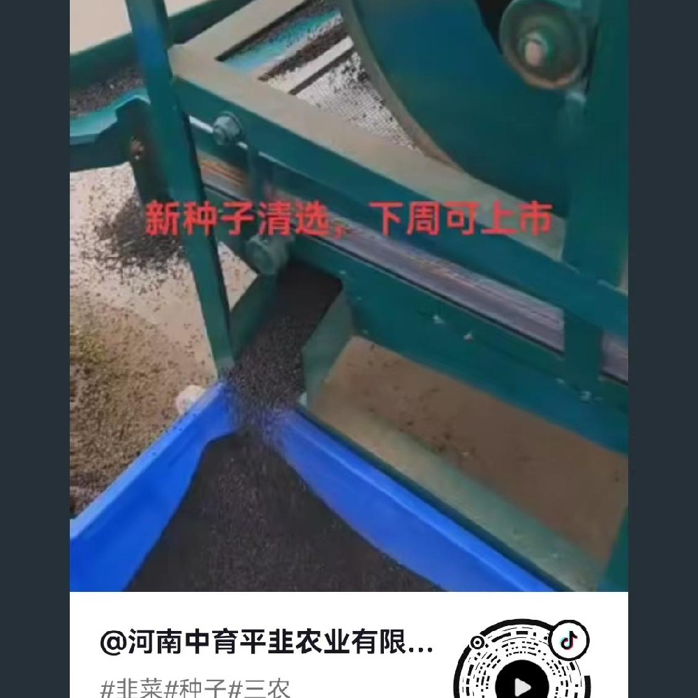 清选