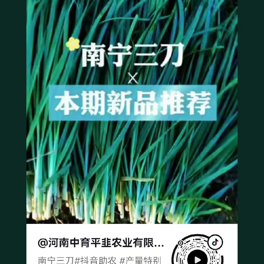 南宁三刀
